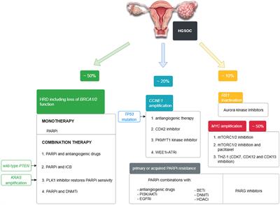 Diagnostics and treatment of ovarian cancer in the era of precision medicine - opportunities and challenges